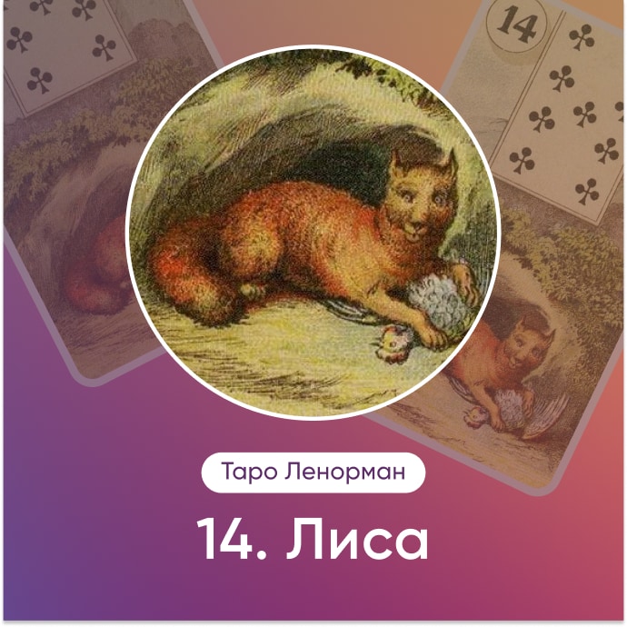 Таро Ленорман Лиса