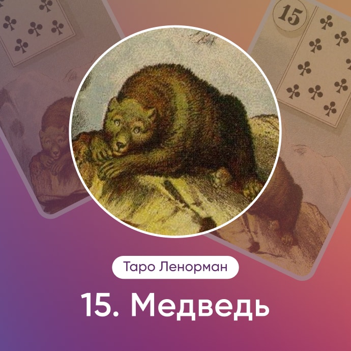 Таро Ленорман Медведь