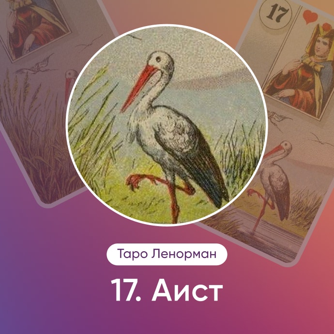 Таро Ленорман Аист