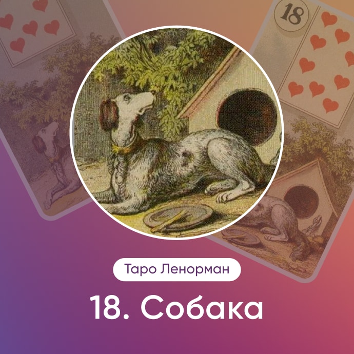 Таро Ленорман Собака
