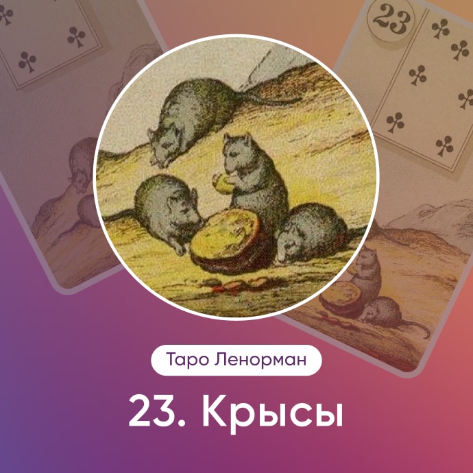 Таро Ленорман Крысы