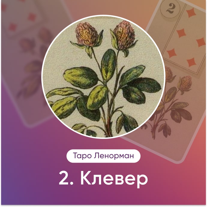 Таро Ленорман Клевер