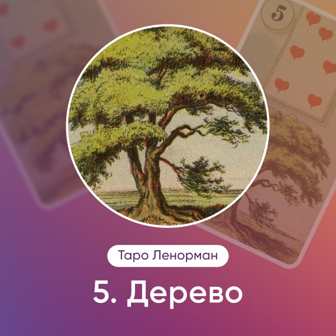 Таро Ленорман Дерево