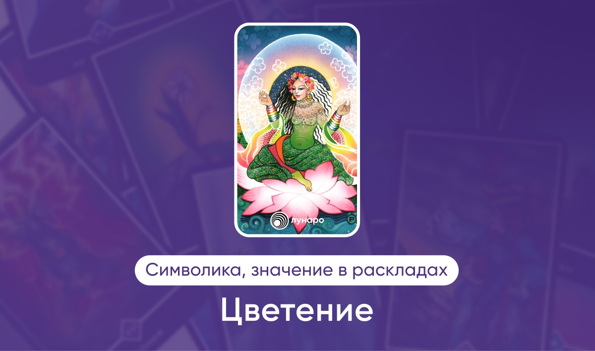 Таро Ошо Дзен масть Радуги Цветение, значение в раскладах на любовь, финансы, здоровье, ситуацию