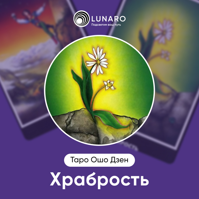 Храбрость Ошо Дзен