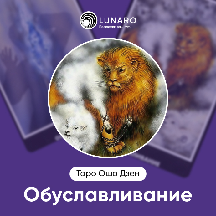 Обусловленность Ошо Дзен 