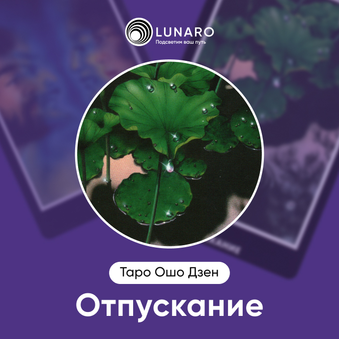 Отпускание Ошо Дзен