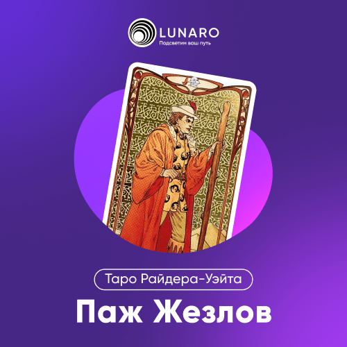 Значение карты Таро Паж Жезлов