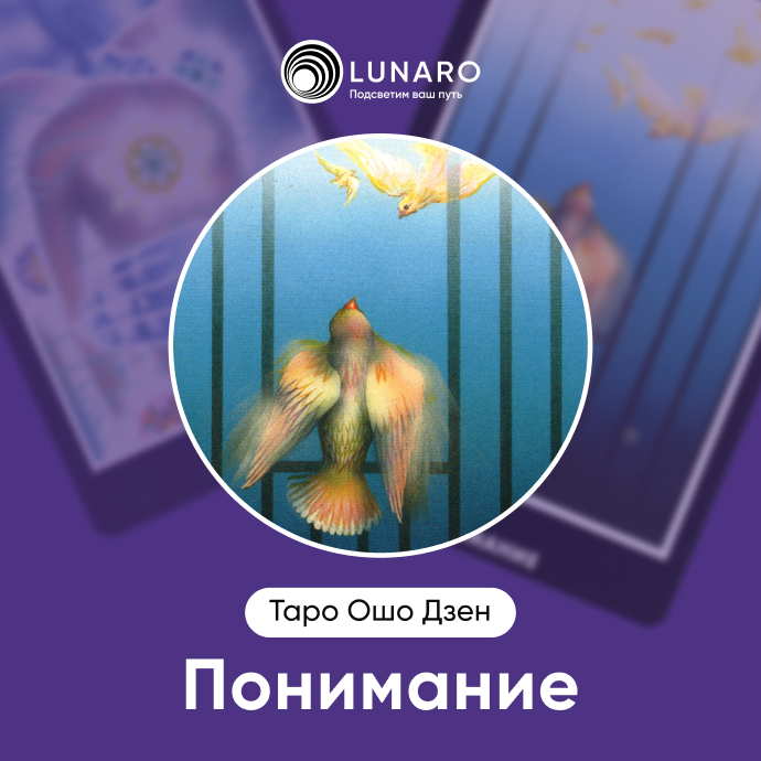 Понимание Ошо Дзен