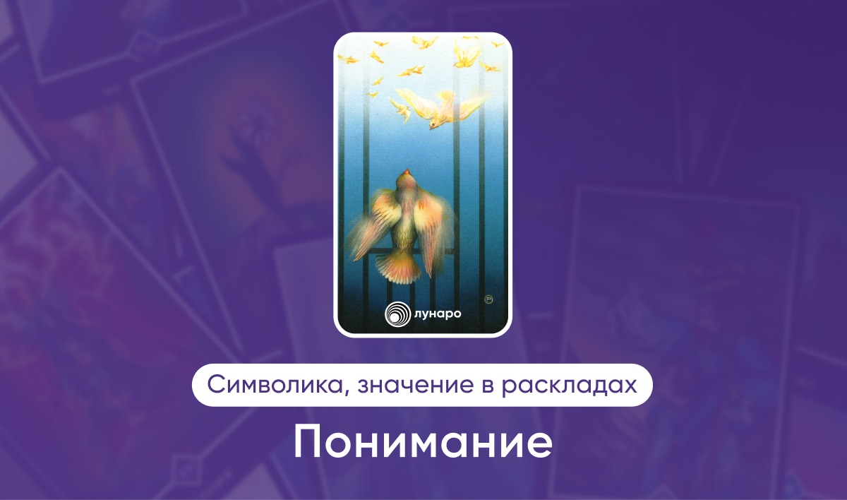 Таро Ошо Дзен масть Воды Понимание, значение в раскладах на любовь, финансы, здоровье, ситуацию