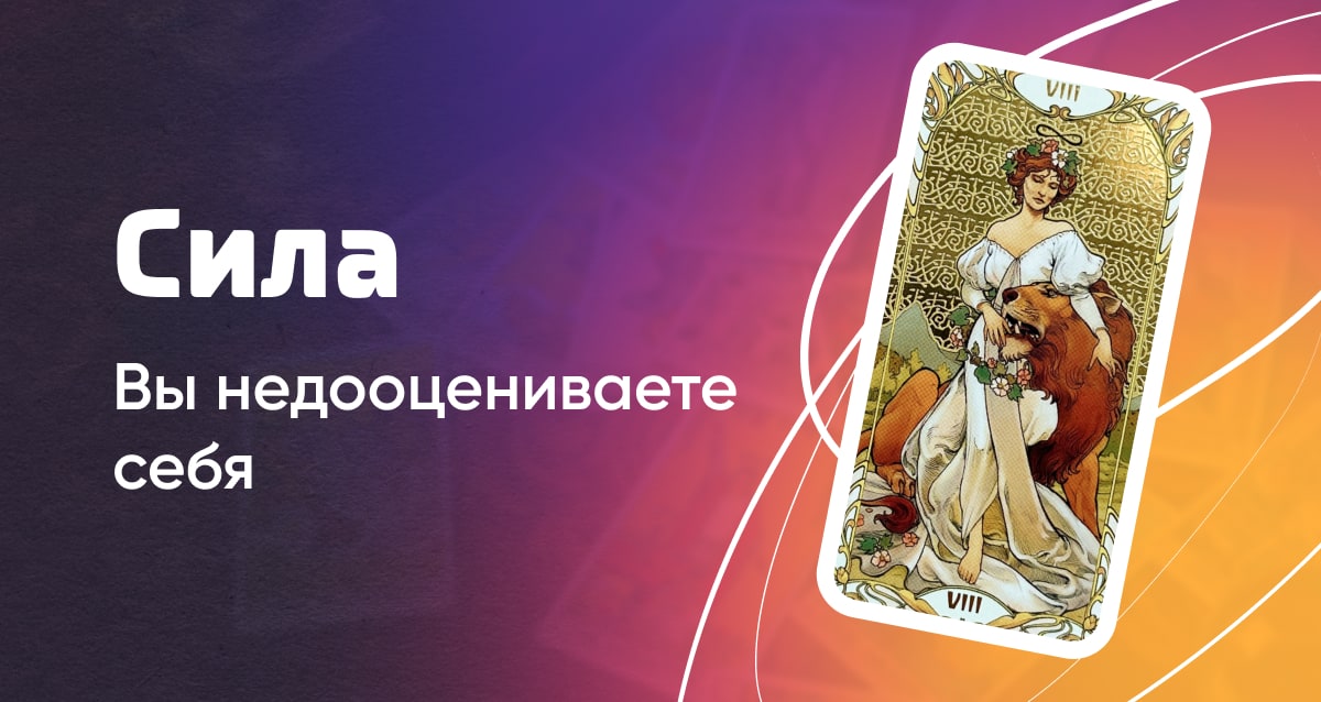 сила.jpg