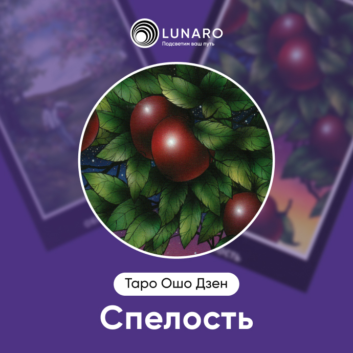 Спелость Ошо Дзен