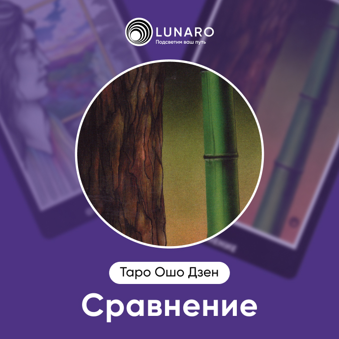 Сравнение Ошо Дзен
