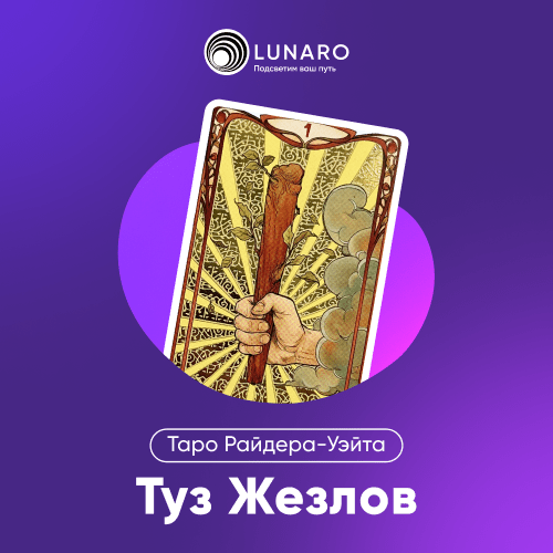 Знач ение карты Таро Туз Жезлов